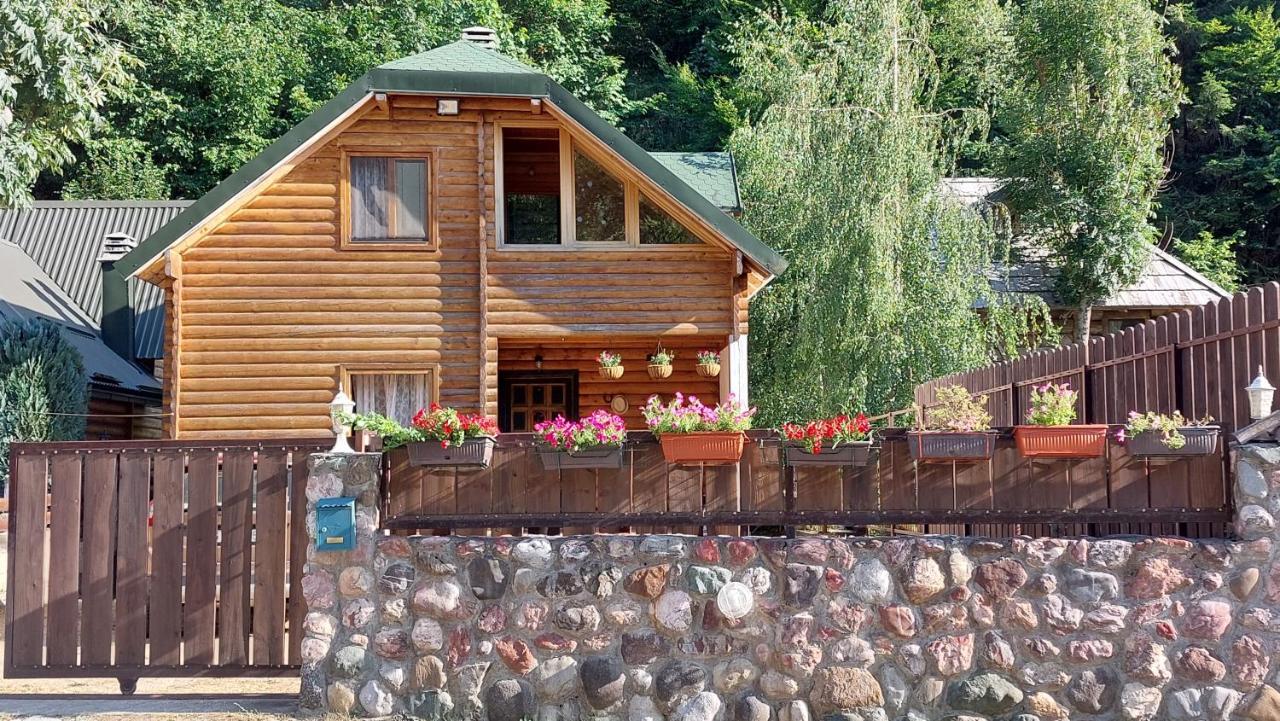 House Tara Дерев'яний котедж